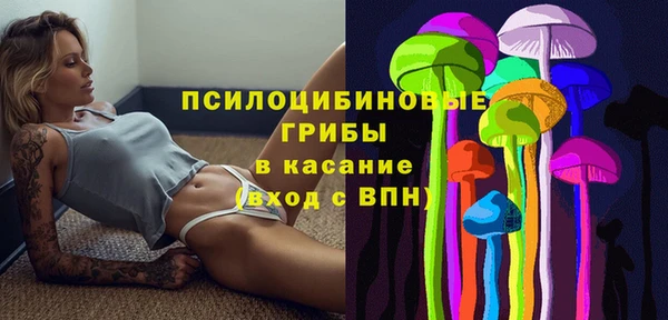 прущая мука Анжеро-Судженск