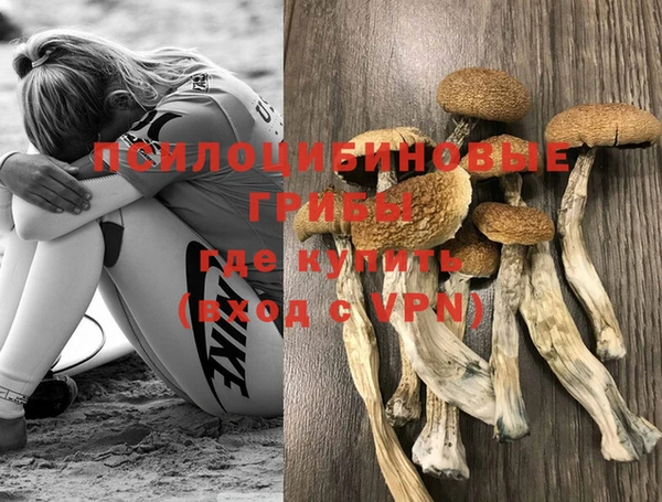 метадон Анива