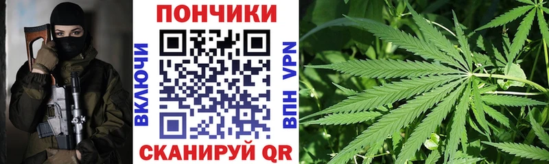 Купить  Мурино  Каннабис план 